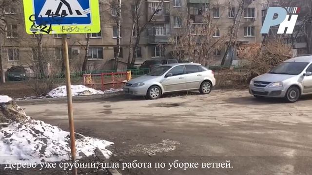 Рязанцы сообщили, что упавшее дерево покорёжило машину
