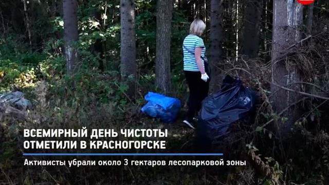 КРТВ. Всемирный день чистоты отметили в Красногорске