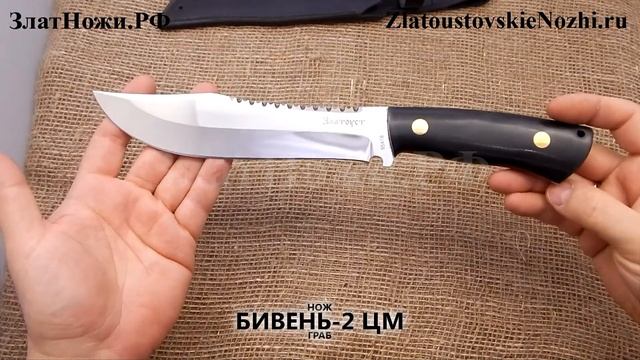 Нож Бивень-2 ЦМ. Рукоять - граб