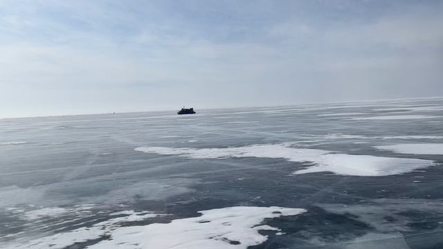 Хивус на Байкале (Листвянка).