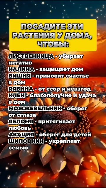 Посадите эти растения у дома, чтобы...  #astrology #приметы #гороскоп #астрология #таро