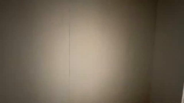обзор дома. с.Троицкое