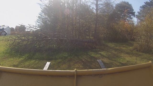 Moving Dead Trees: Tractor with pallet forks moving trees!