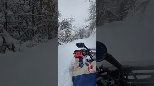 yamaha grizzly 550  action  new#100