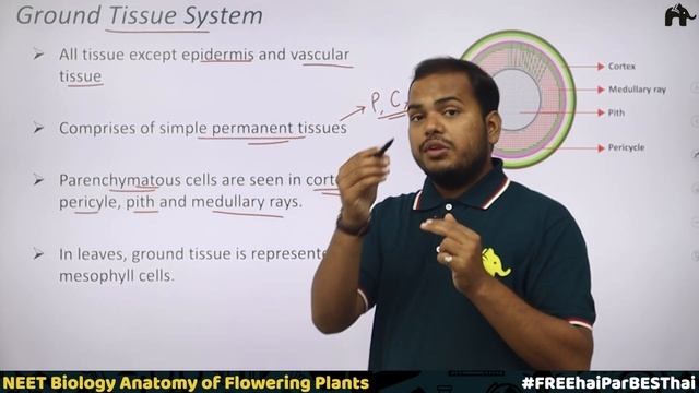 Anatomy of Flowering Plants Class 11 Biology NEET | Complex Permanent Vascular Tissue Monocot  Dico