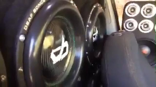 LIVE INSANE FLEX + BASS DEMO WITH THE 6 Deaf Bonce DB-4 12s!