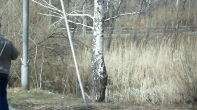 Субботник в парке.