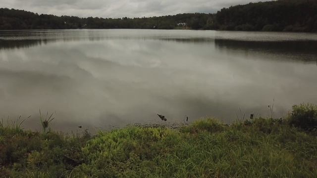 DJI 0022
