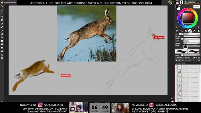90MAC Life Drawing Class - RABBITS