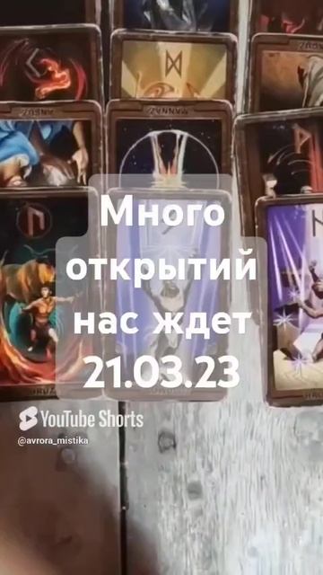 Видео WhatsApp 2025-03-08 в 09.35.53_712dffc6