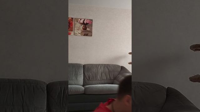 батя & сынодочь