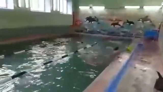 Юные ВОСВОДовцы НКЛ 2020