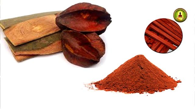 terminalia arjuna/மருத மரத்தின் வைத்தியம் /Marutha maram