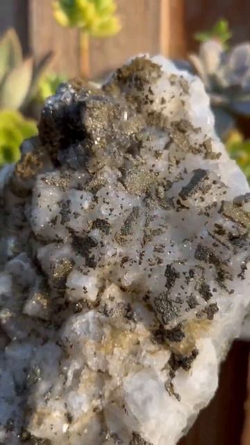 Pyrite with Quartz ✨