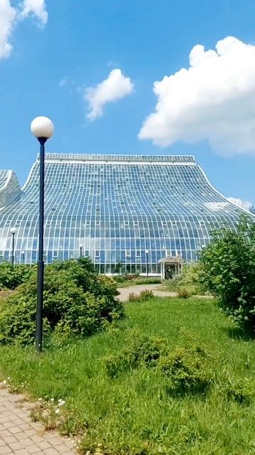 Новая фондовая оранжерея, Ботанический сад #растения #природа #сад #москва