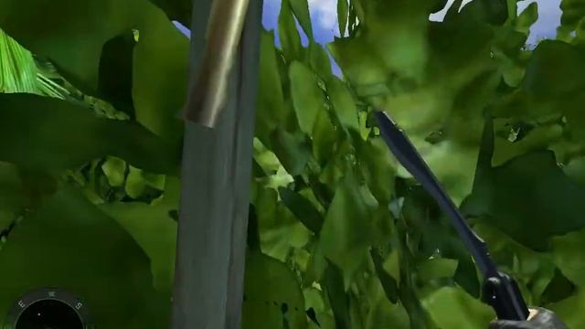 FAR CRY Рэмбо 2 Вьетнам- начало