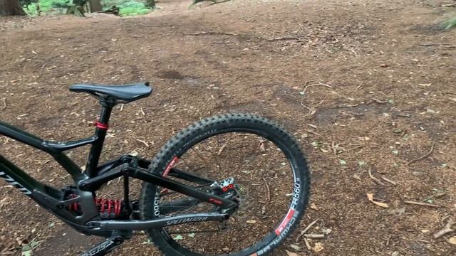 Specialized Demo 2020/21|Bikeporn|