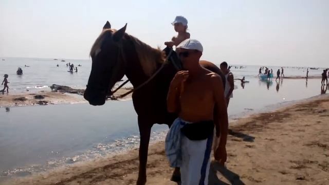 VID 20180807 100657