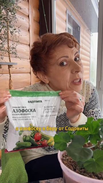 УХАЖИВАЕМ за ПЕЛАРГОНИЕЙ!