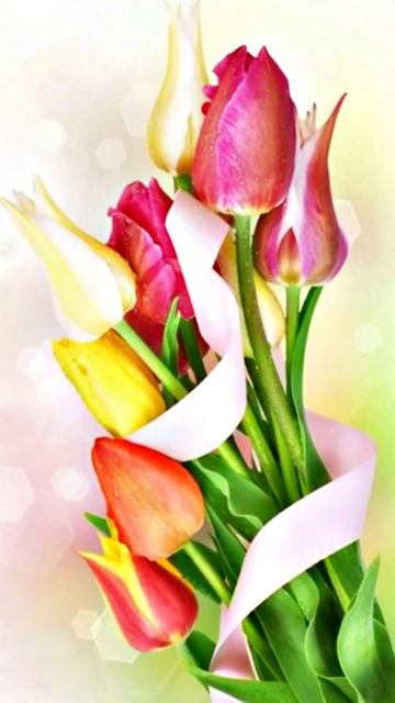 🔴С наступающим праздником - 8 Марта!❤️❤️💘🥰🤗💕#праздник #8марта 8мартапоздравление