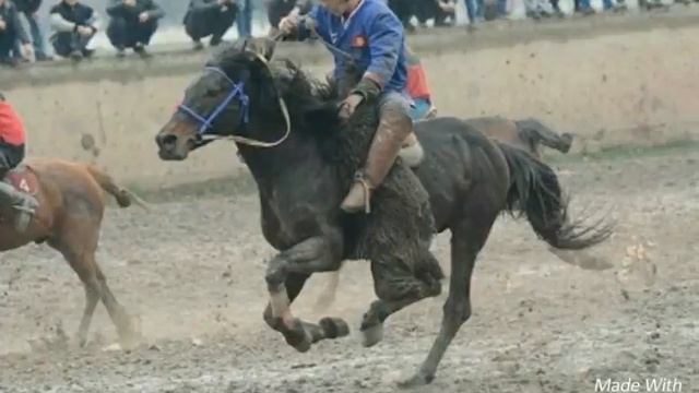 Жоки Орозбаев талас командасы кок бору.