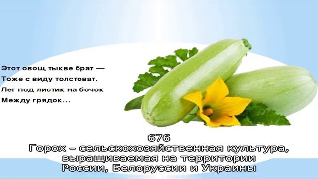 Бобовые