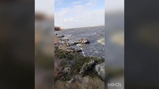Бугазская коса и лиман 5.12.22