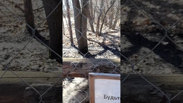 Бобровский район,с. Шишовка, Экопарк "Крестьянский дворик".