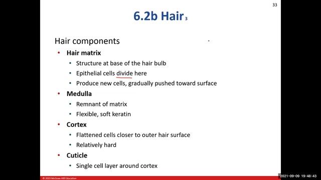 Day 6: The Integument (Ch6) Lab Part 2 BIO 210 721