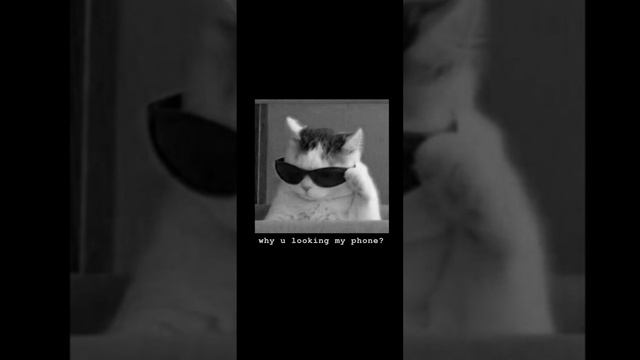 ☾︎❣︎Мая голова винтом ❣︎☽︎(☢︎︎Tik Tok remix ☢︎︎)