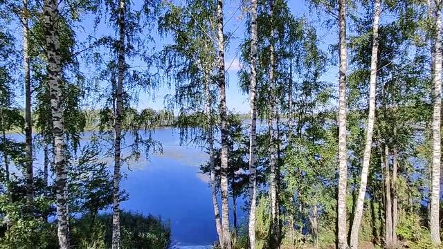 #МестаСилы. Устье Ветлуги. Красота и величие прекрасной реки.
