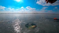 ЖОР ЛЕЩА НА ВОДОХРАНИЛИЩЕ ! ! ! !