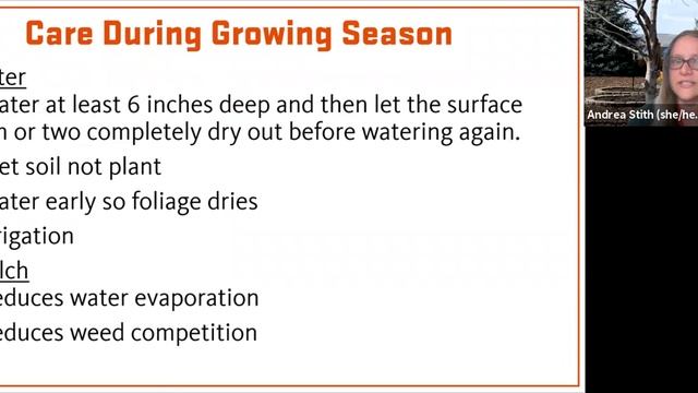 Around the Garden Series  Beginner Gardening