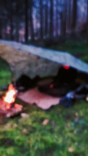 Time out in the woods