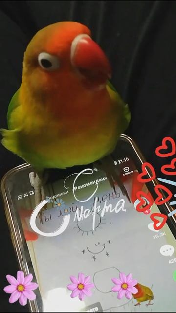 Snapchat-87754244.mp4