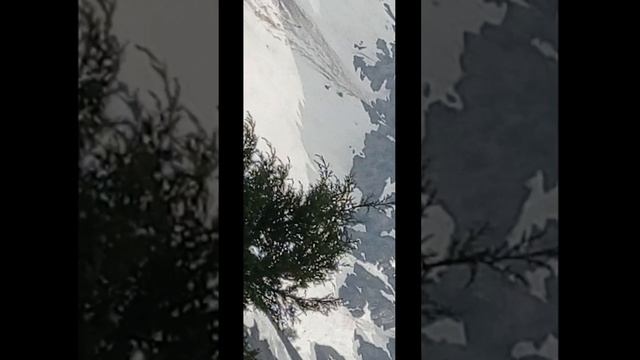 VID_20240427_153304.mp4
