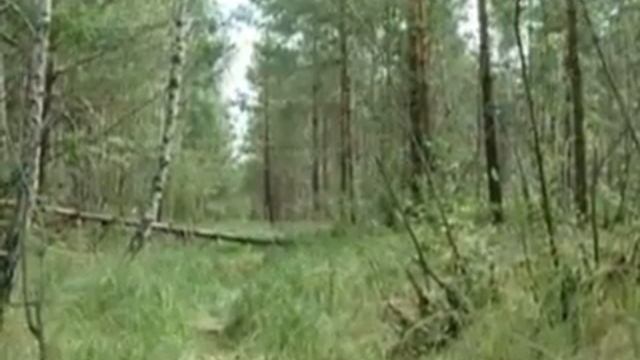 Открыт сезон охоты