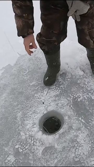 Все-таки дождались мы эту мамку