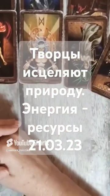 Видео WhatsApp 2025-03-08 в 09.36.23_777b00fd