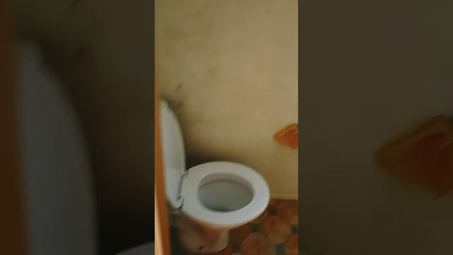 Караванға рум тур