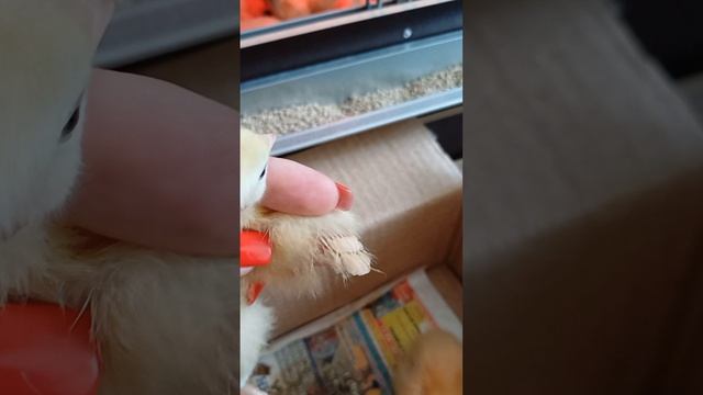 1000016819.mp4
