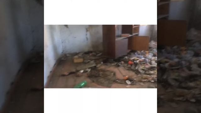 НАШЛИ В ЗАБРОШКЕ МЕРВУЮ ПТИЦУ! РАЙ ЗАБРОШЕК