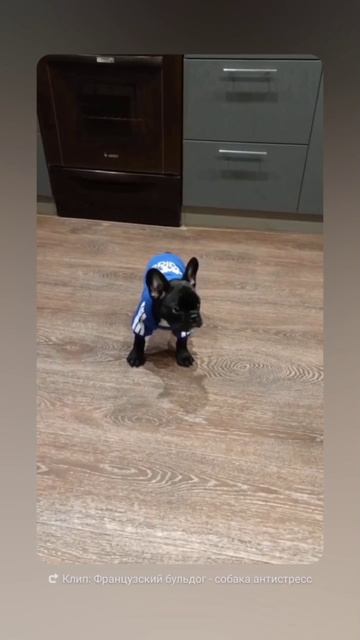 1000013047.mp4