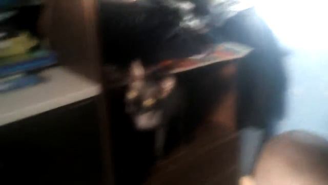 Сима сломала мой планшет! На подоконнике айфон5?