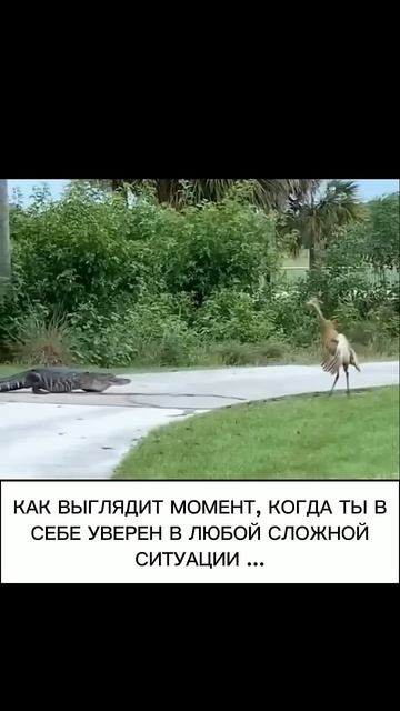 Когда ты уверен в себе.