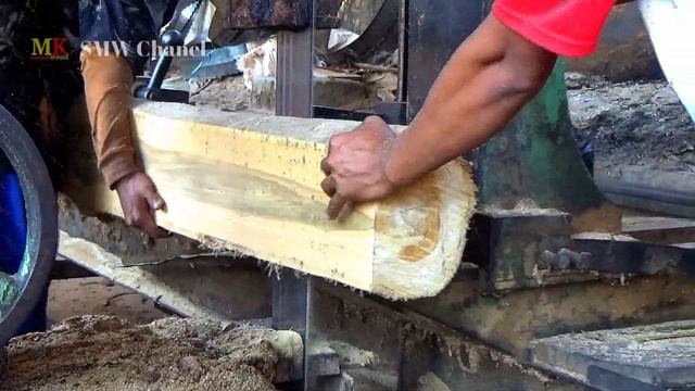 100 juta..Ternyata karena alasan inilah kayu jati itu dihargai selangit.sungguh aneh tapi nyata