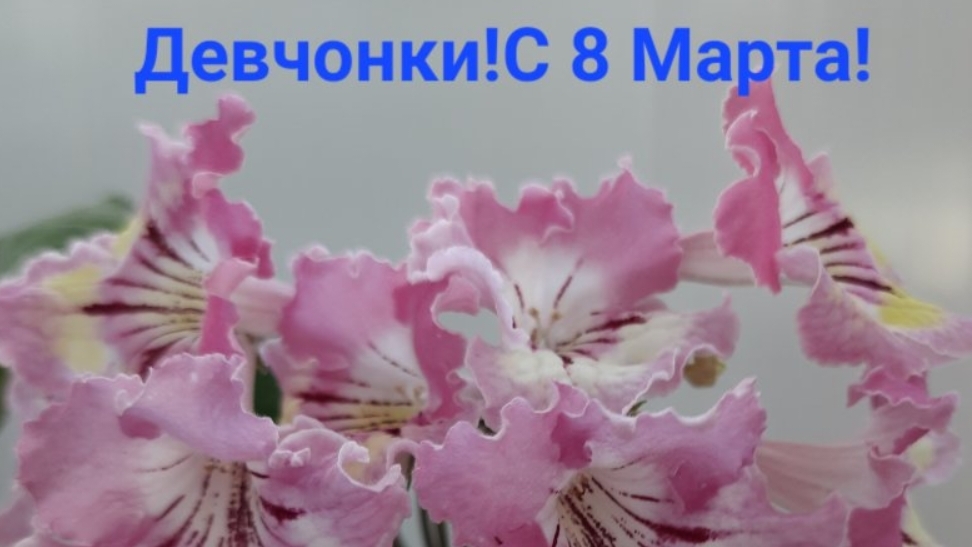 08-03-2025 Поздравляю с 8 Марта!
