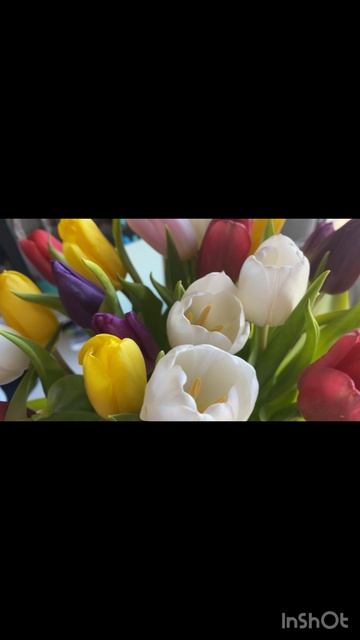 С 8 марта! И замурчательного дня! Желаю я - Хосико и мои котопушистики Элис, Луна и Шум! 2025 год.