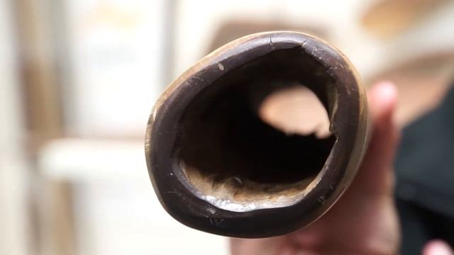 Indigenous emu caller