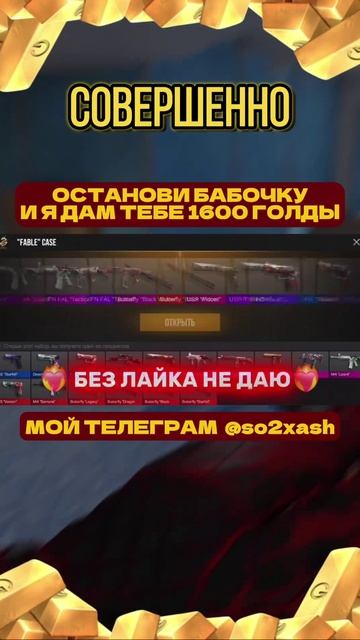 VID_20250308_023303_071